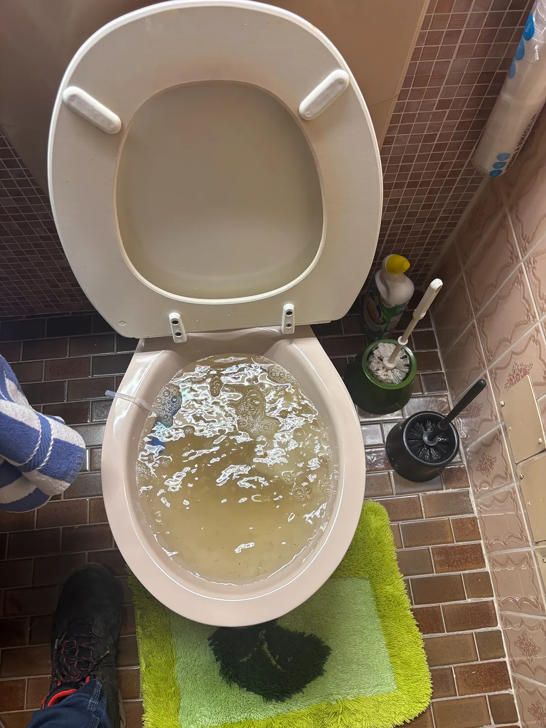 Une cuvette de WC ouverte, remplie d'une eau trouble et jaunâtre, dans une salle de bains au sol carrelé, avec deux brosses de WC à proximité.